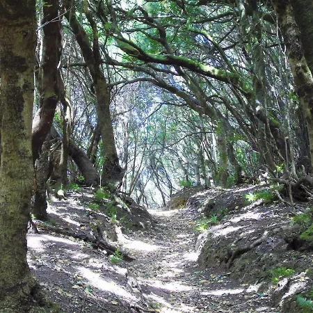 Casa El Cercado 度假居